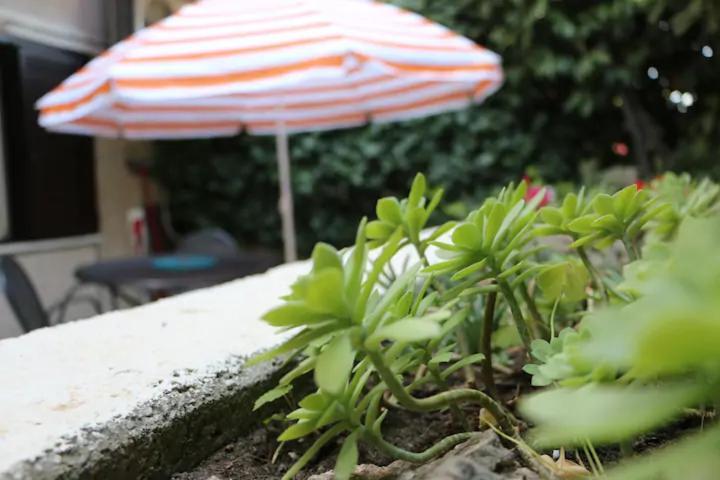 Apartman Spinut & Marjan スプリト エクステリア 写真